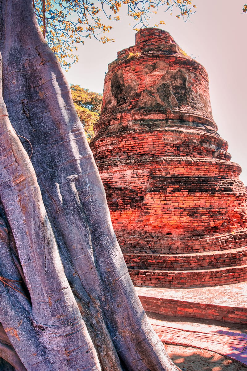 Ayutthaya 27