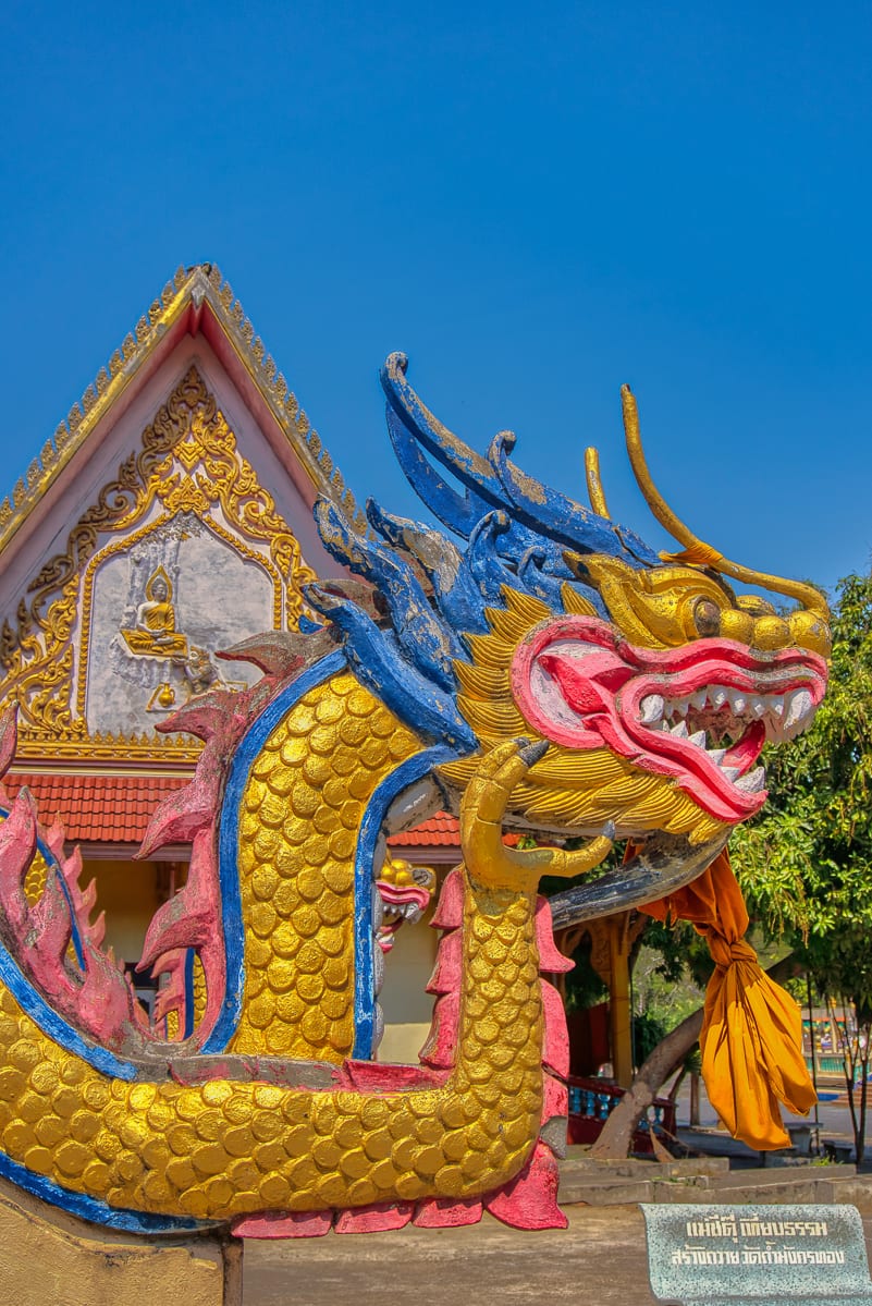Chinese New Year 2025 1