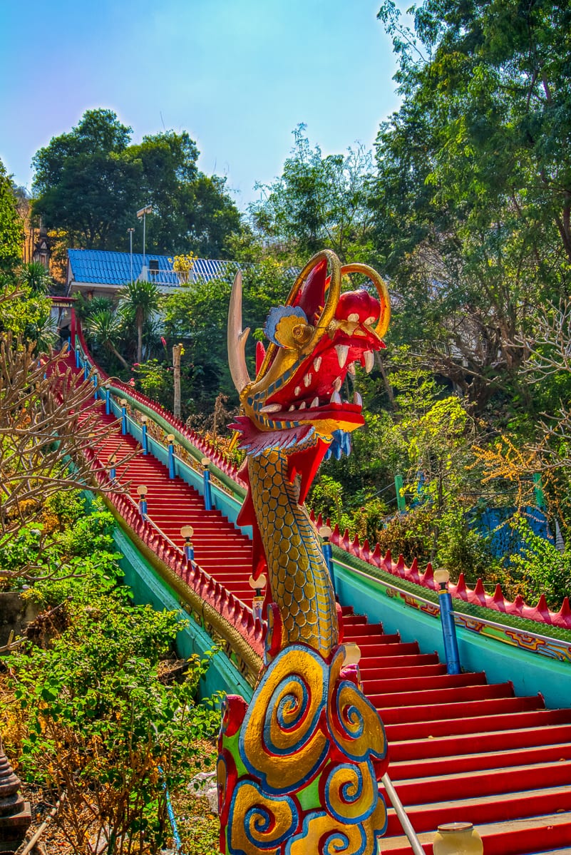 Chinese New Year 2025 8