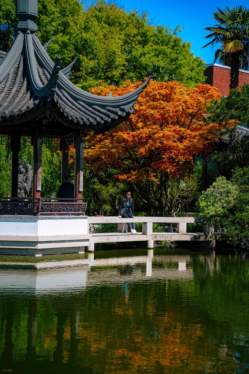Chinese Tea Garden 2