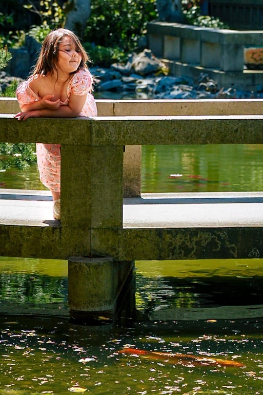 Chinese Tea Garden 5