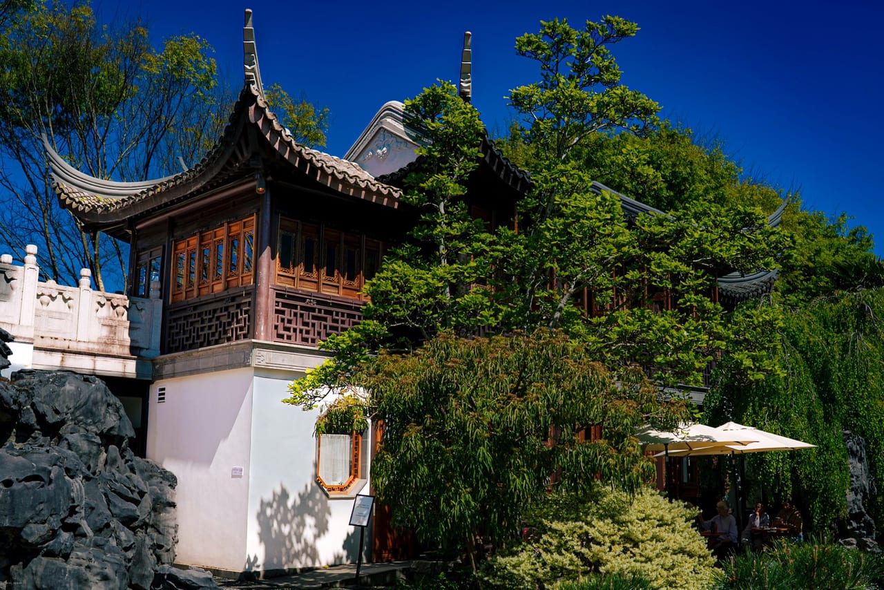 Chinese Tea Garden 8