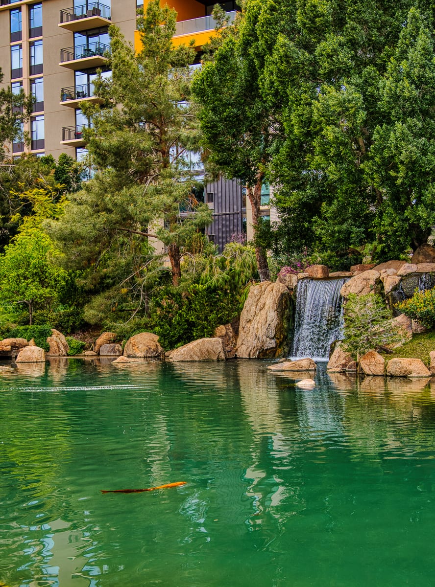 Downtown Phoenix 14
