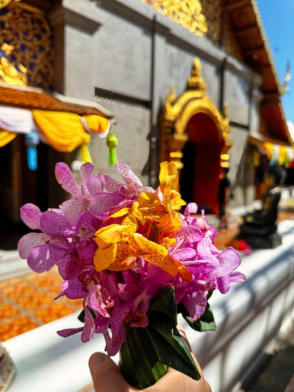 Flowers 17