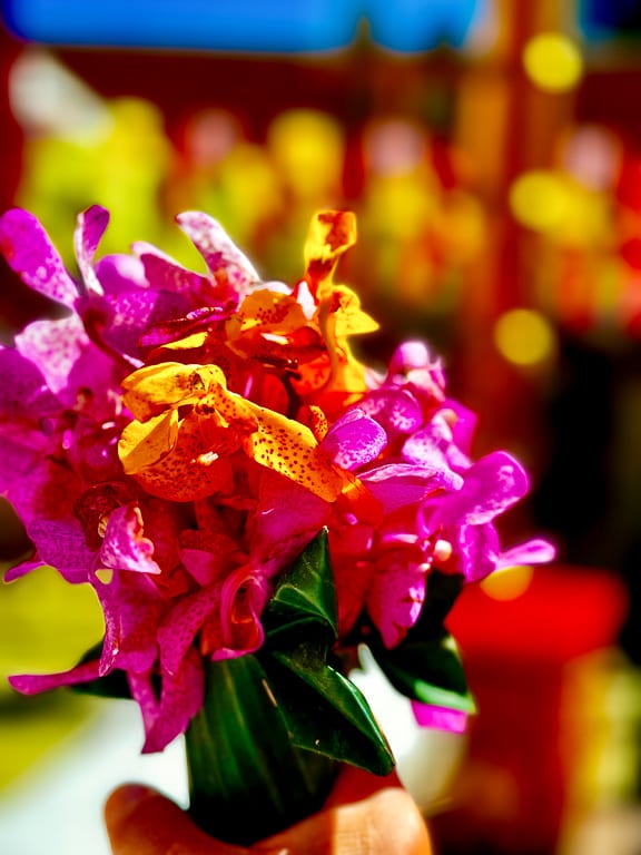 Flowers 19
