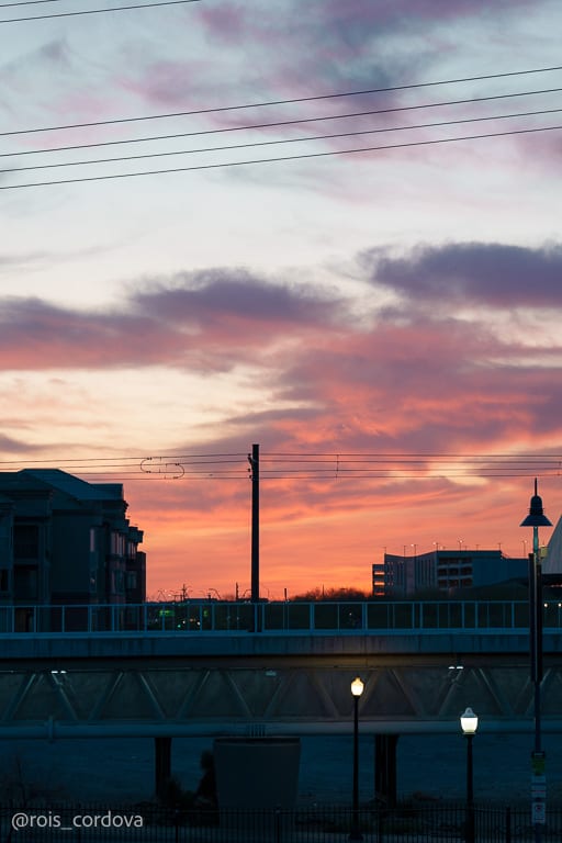 March 20
