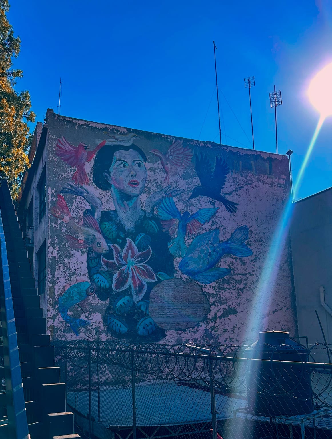 Mexico 65