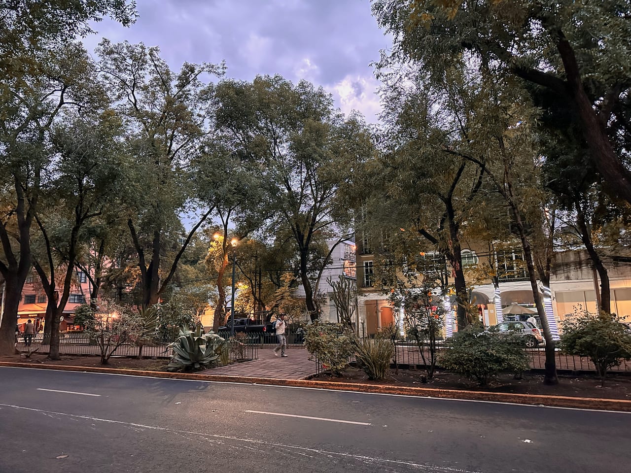 Mexico 7