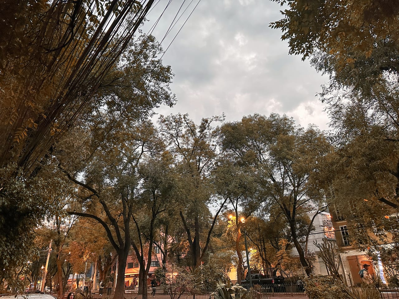 Mexico 8
