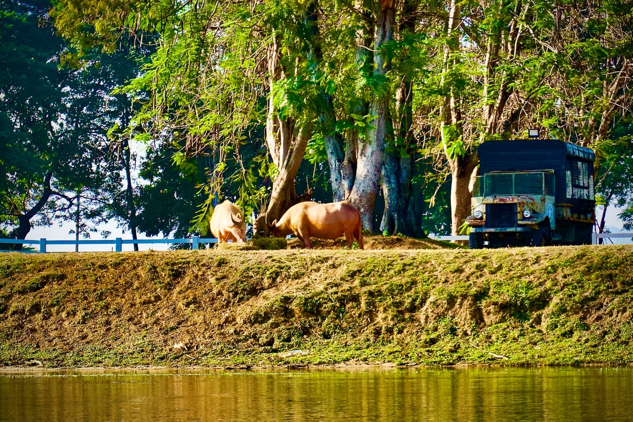 Mueang Kan 36