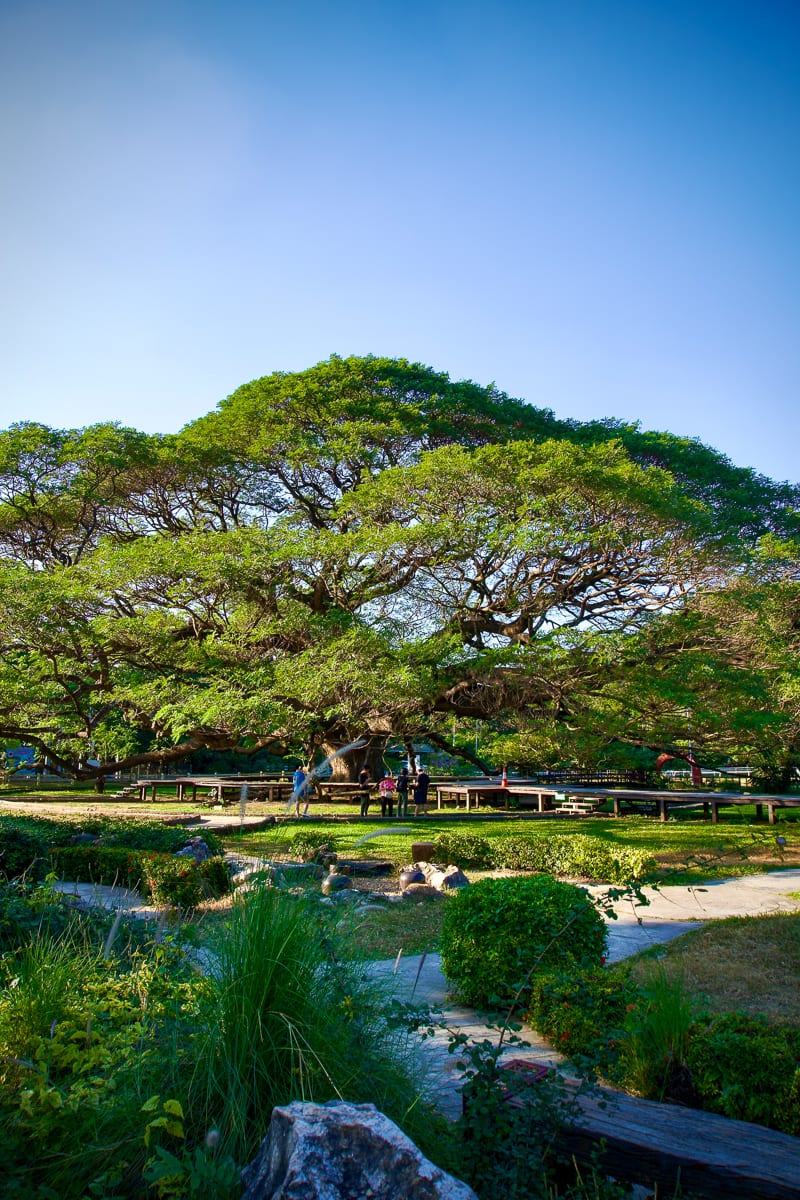 Mueang Kan 82