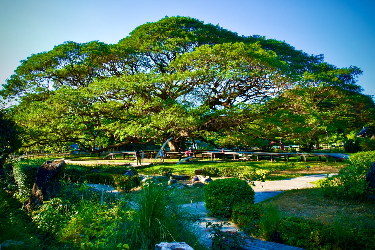 Mueang Kan 83