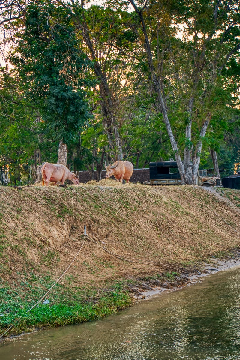 River Kwai 2