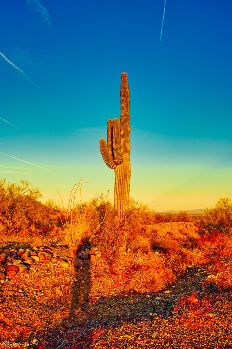 South Mountain 15