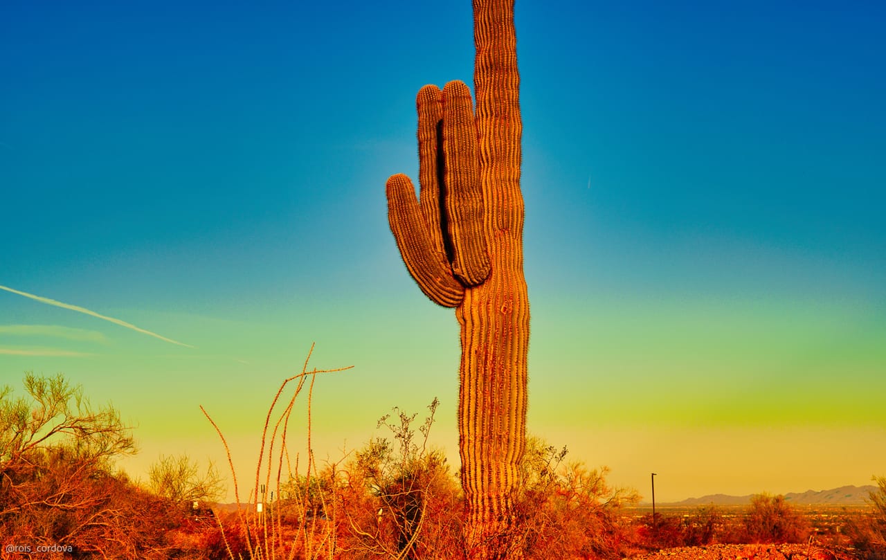 South Mountain 16