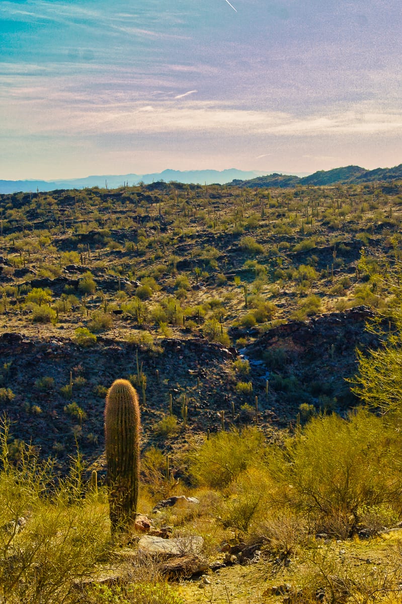 South Mountain 27