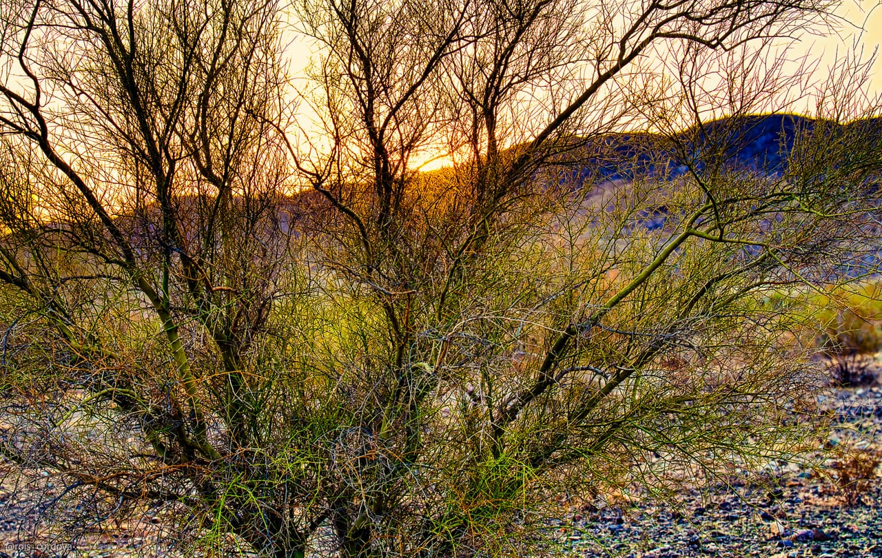 South Mountain 4