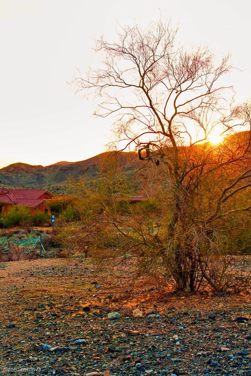 South Mountain 7
