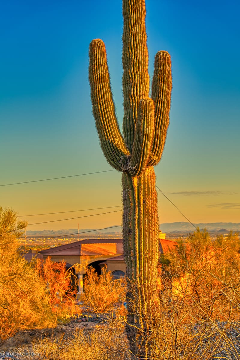 South Mountain 8
