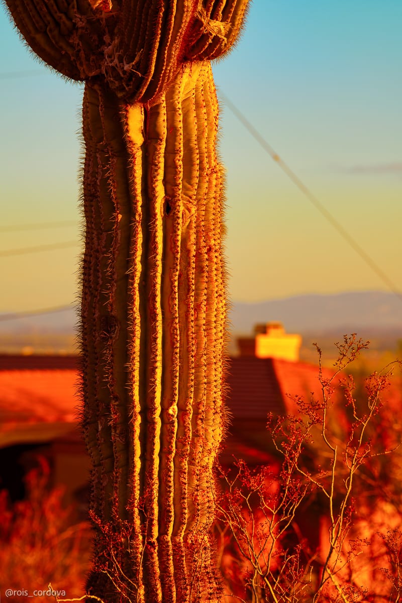 South Mountain 9